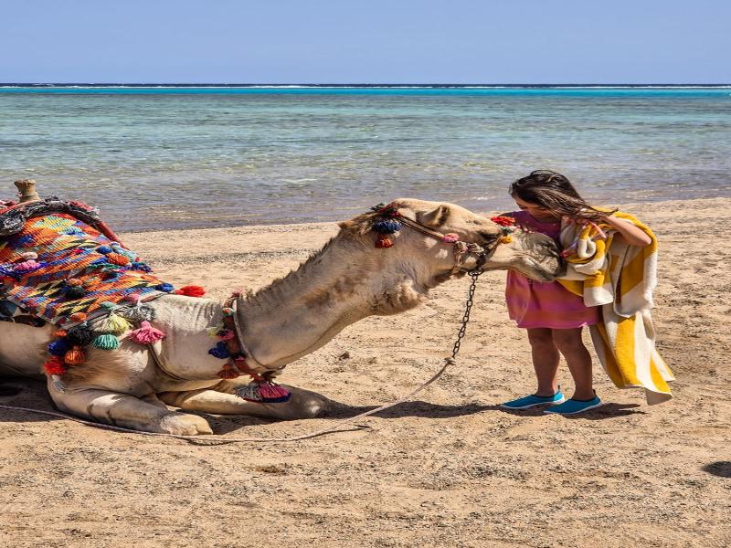 Swisstouch Oriental Resort image