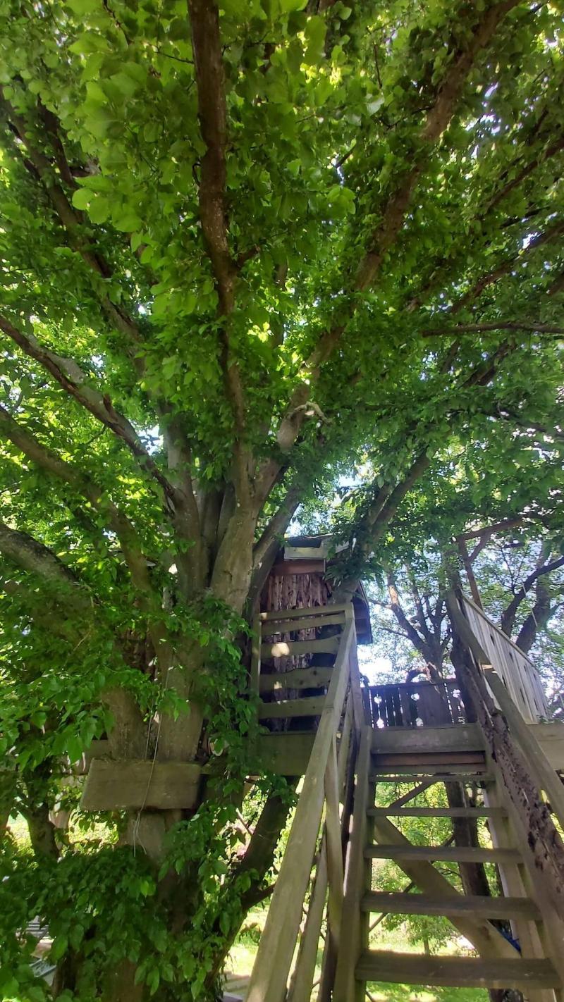 Le Refuge Des 3 Ours image