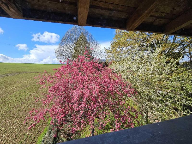 Le Refuge Des 3 Ours image