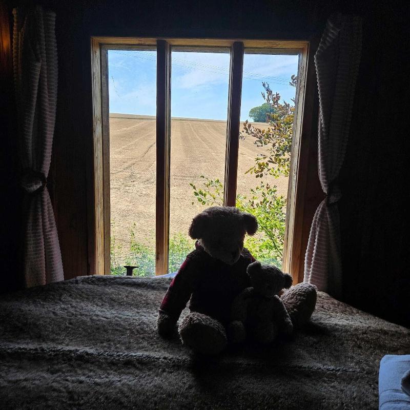 Le Refuge Des 3 Ours image