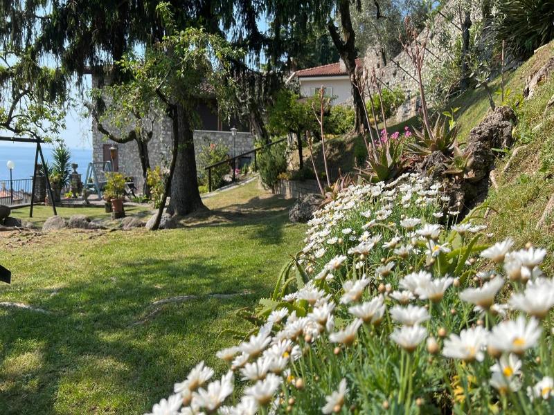 Albergo Palazzina image