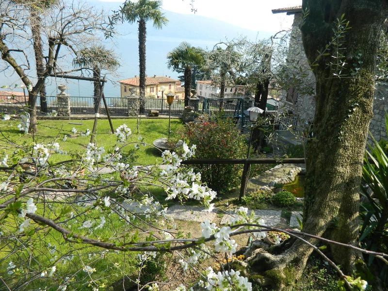 Albergo Palazzina image