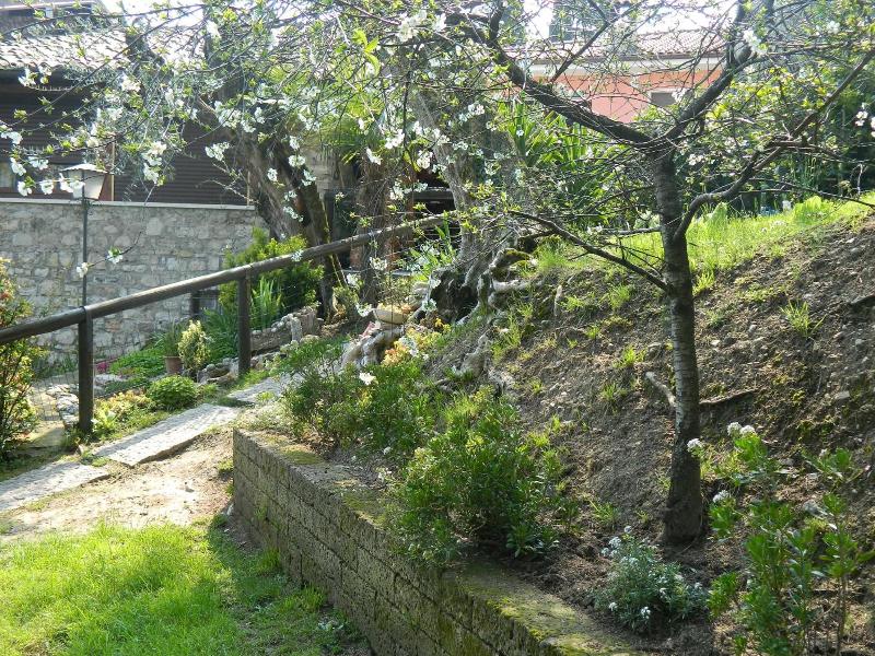 Albergo Palazzina image