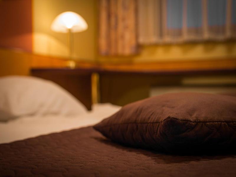 Hotel Krona Domzale image