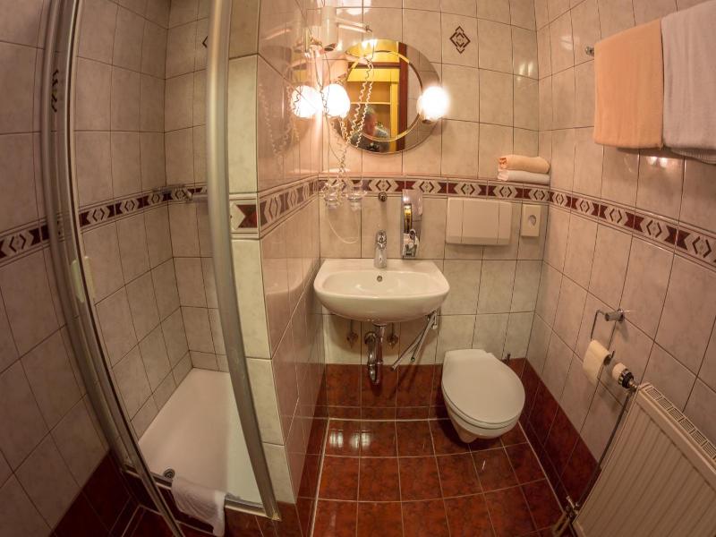 Hotel Krona Domzale image