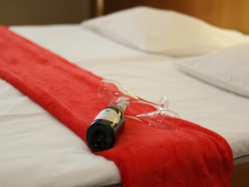 Hotel Krona Domzale image