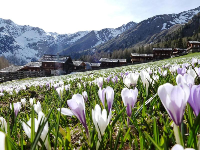 Natur Residenz Villgraten image