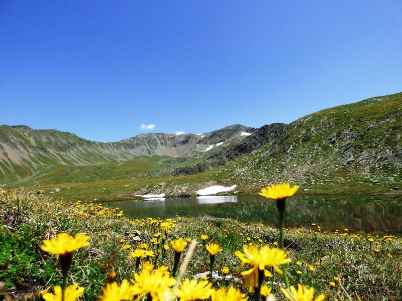 Natur Residenz Villgraten image