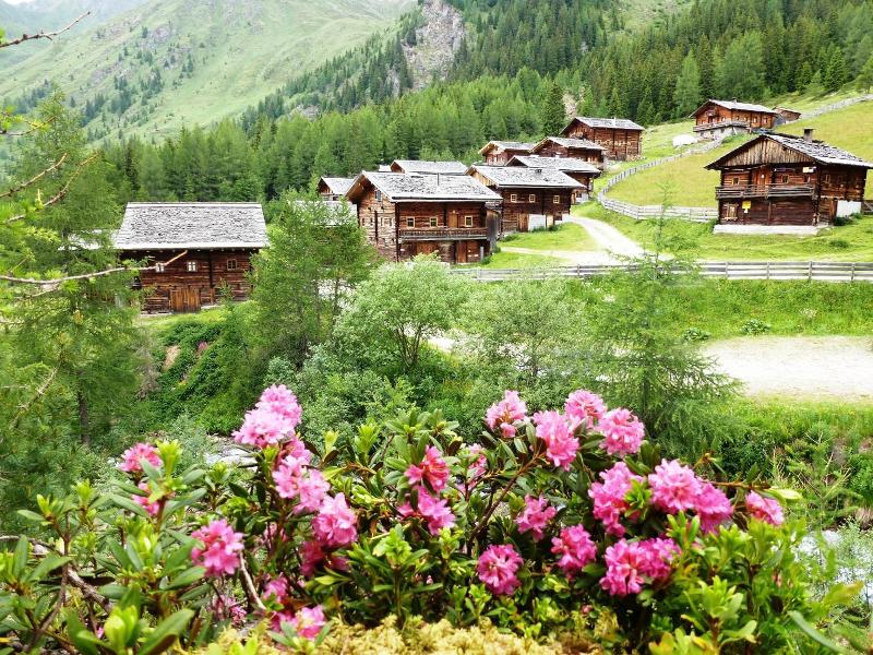 Natur Residenz Villgraten image