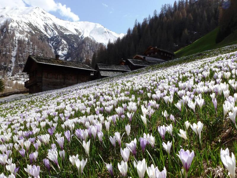 Natur Residenz Villgraten image