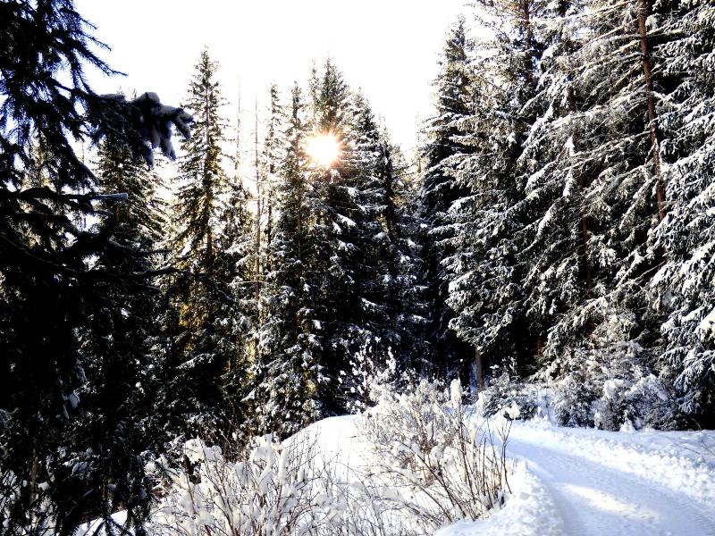 Natur Residenz Villgraten image