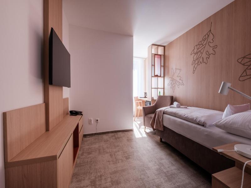Hotel Slovan image