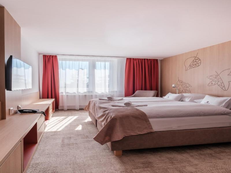 Hotel Slovan image