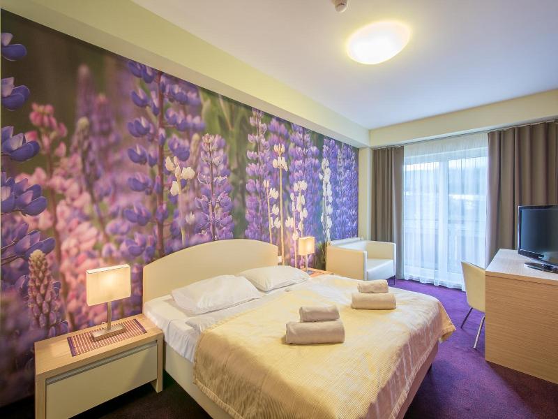 Hotel Slovan image