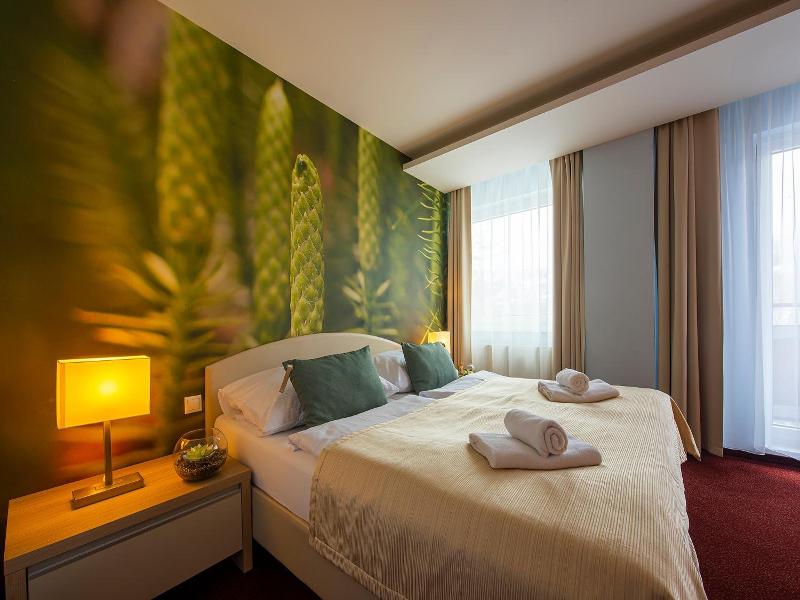 Hotel Slovan image