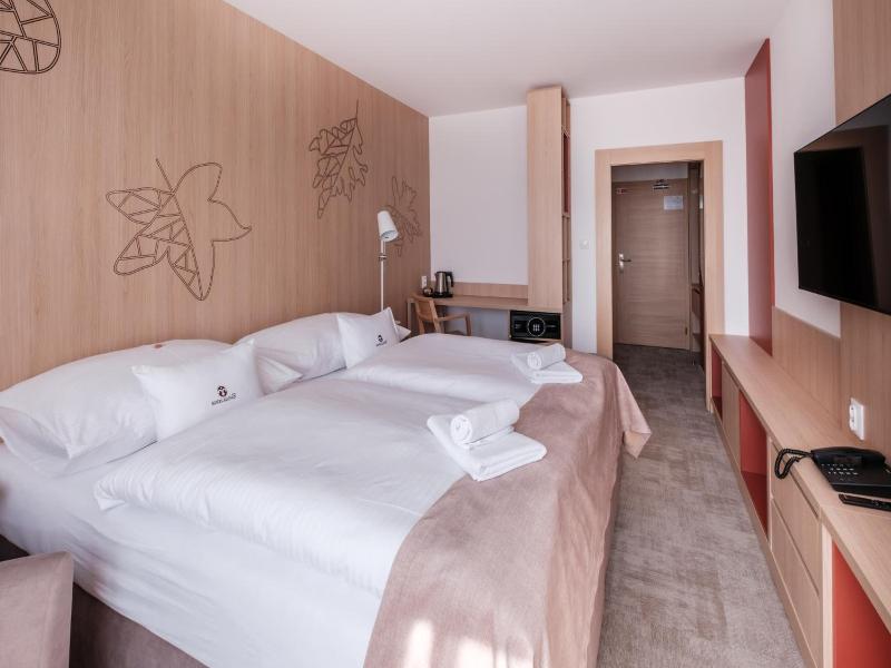 Hotel Slovan image