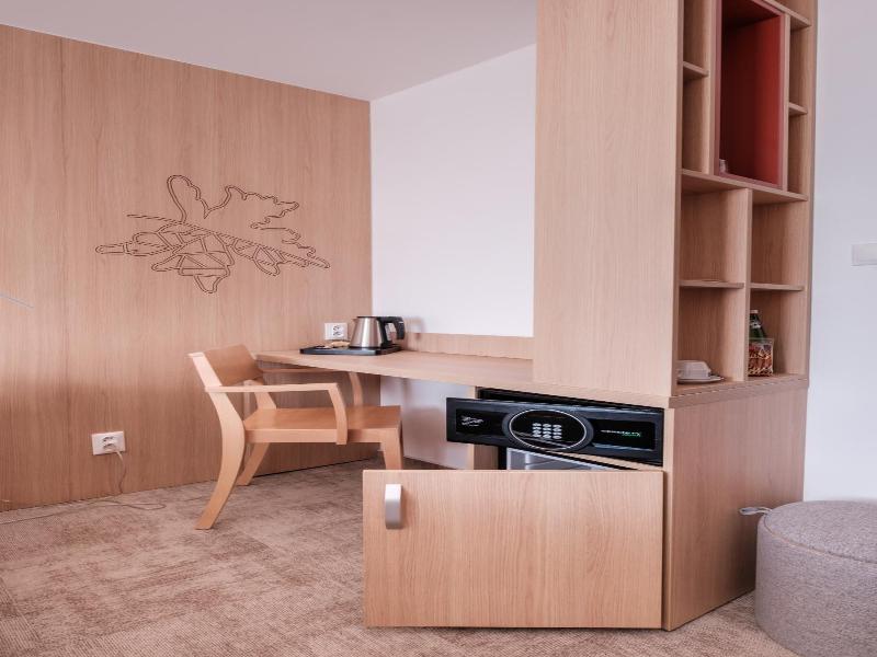 Hotel Slovan image
