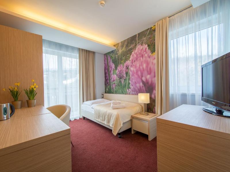 Hotel Slovan image