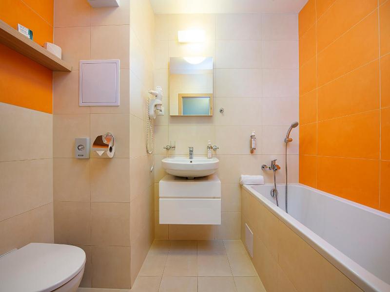 Hotel Slovan image