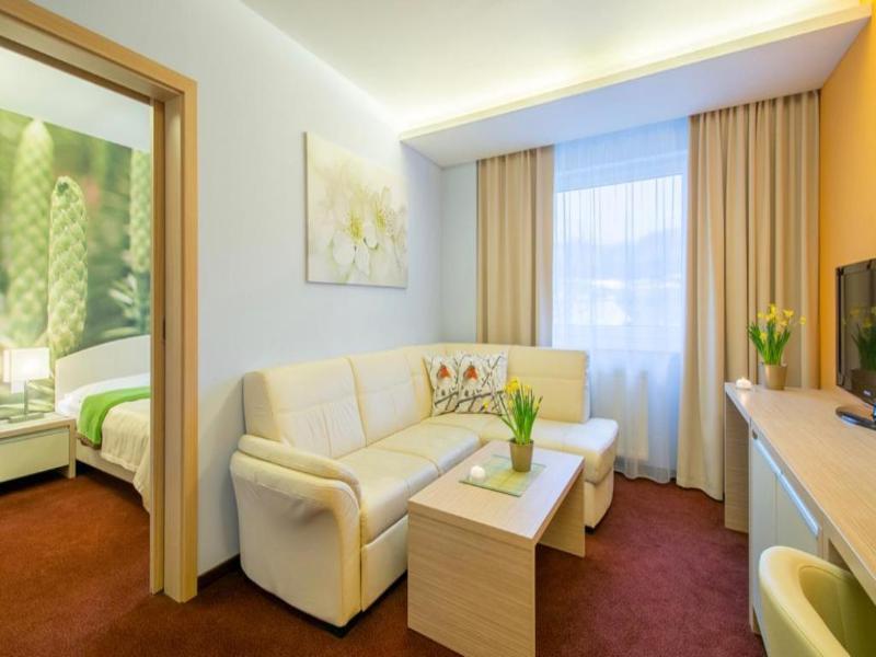 Hotel Slovan image
