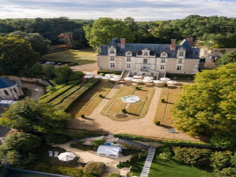 Chateau De Noizay image