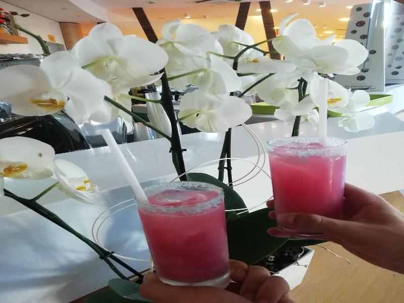 La Casarana Welness resort image