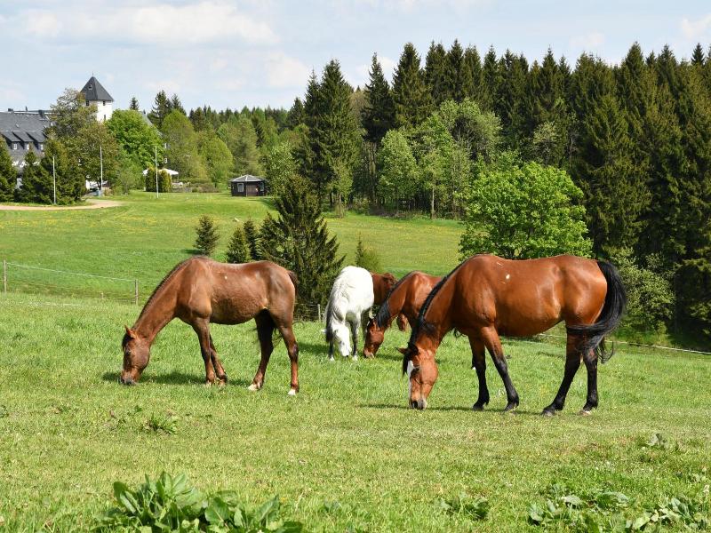 Landhotel Altes Zollhaus image