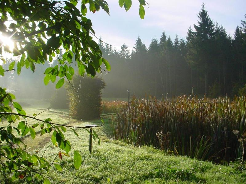 Landhotel Altes Zollhaus image