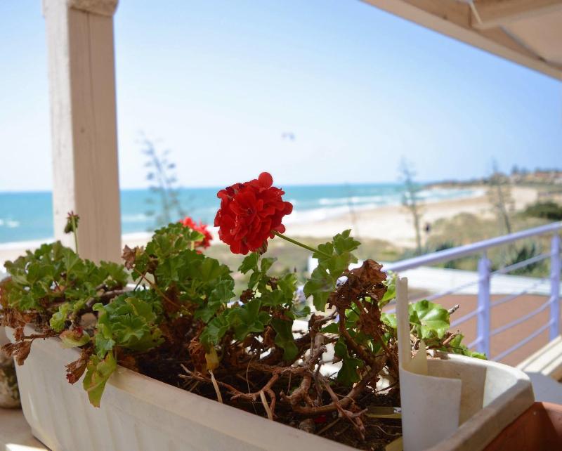Hotel Mar&Sol image