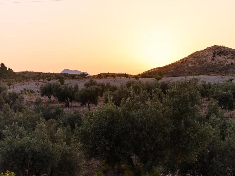 Apartamentos Rurales Sol De Taberno — general view