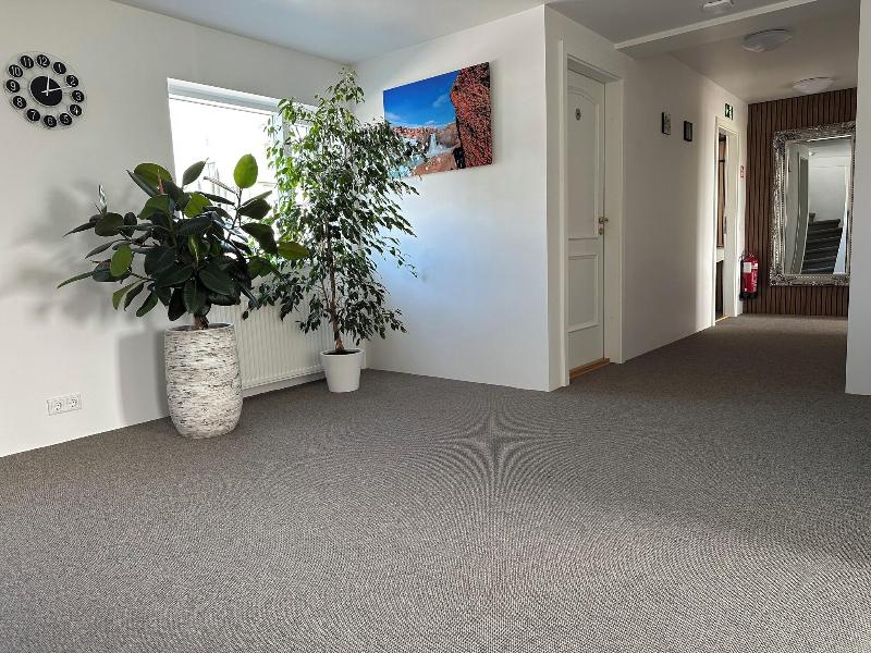 Guesthouse Dyngja image
