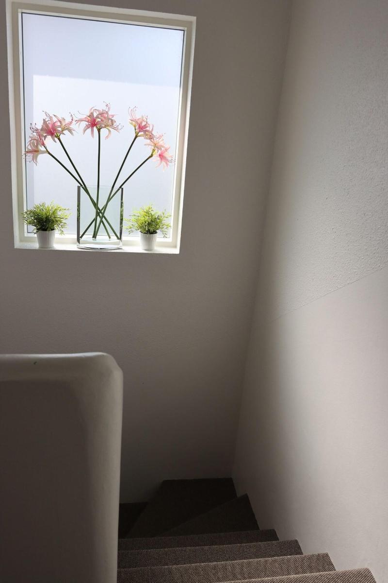 Guesthouse Dyngja image