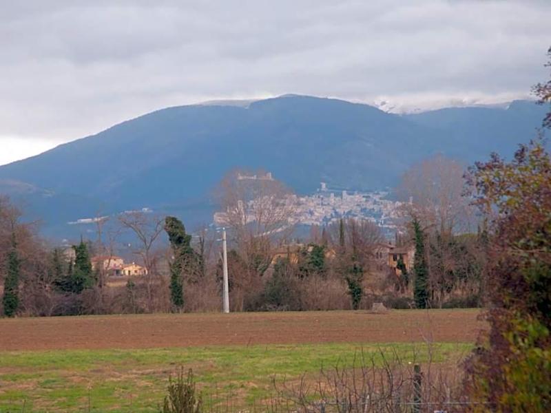 Il Casale Della Fornace image