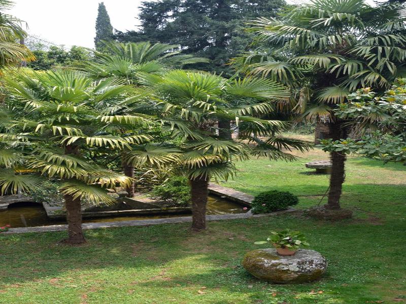 Casa Dos Cregos image