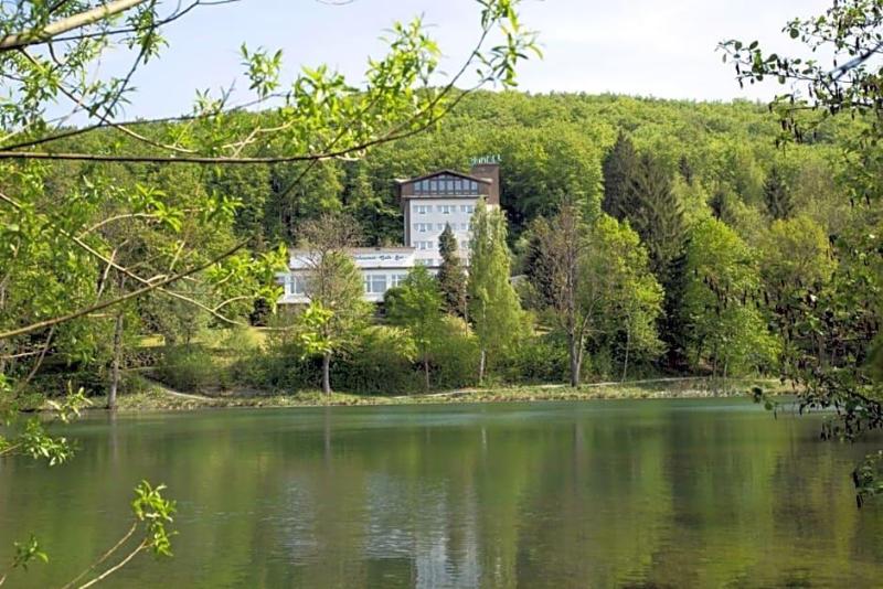 Hotel Reifenstein image