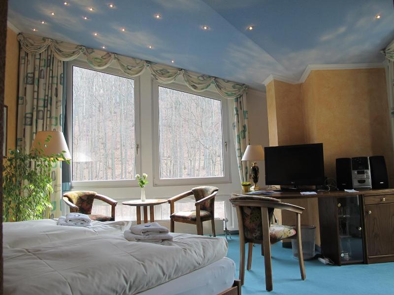 Hotel Reifenstein image