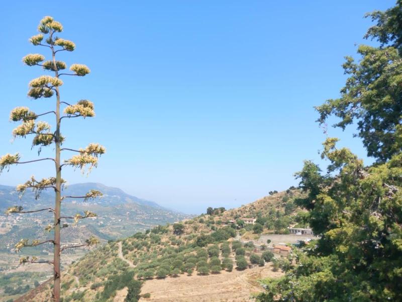 B&B Sciarammola image
