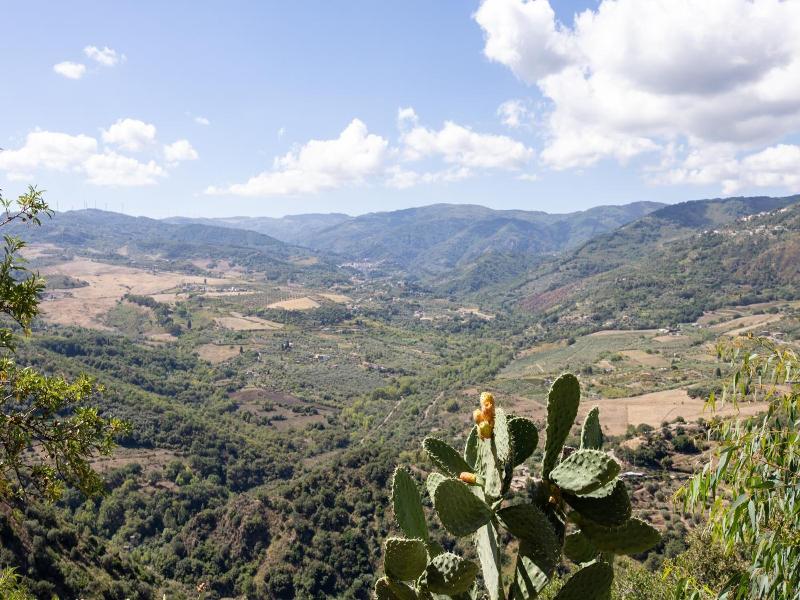 B&B Sciarammola image