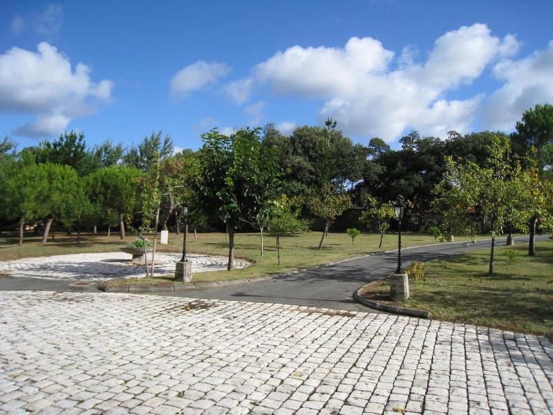 Hôtel Primavera image