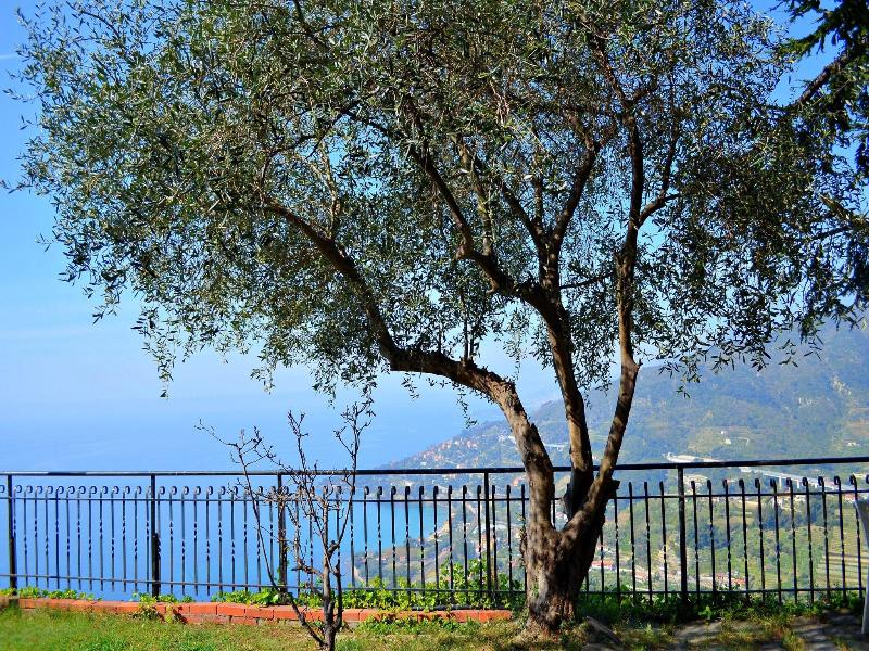 La Riserva di Castel d'Appio image