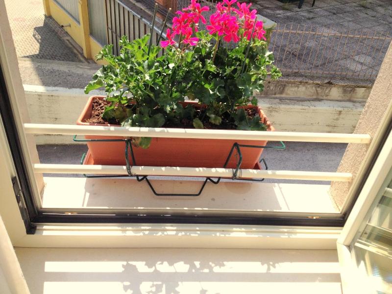 Hotel Villa Cinzia image
