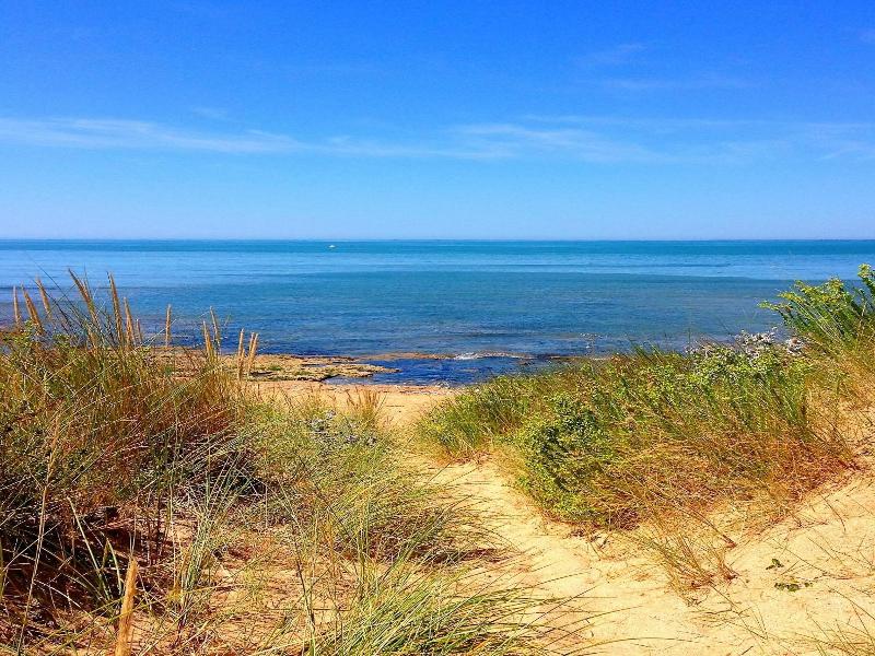 Ile De Lumiere image