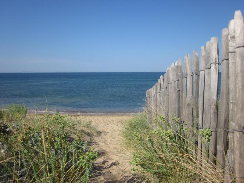 Ile De Lumiere image