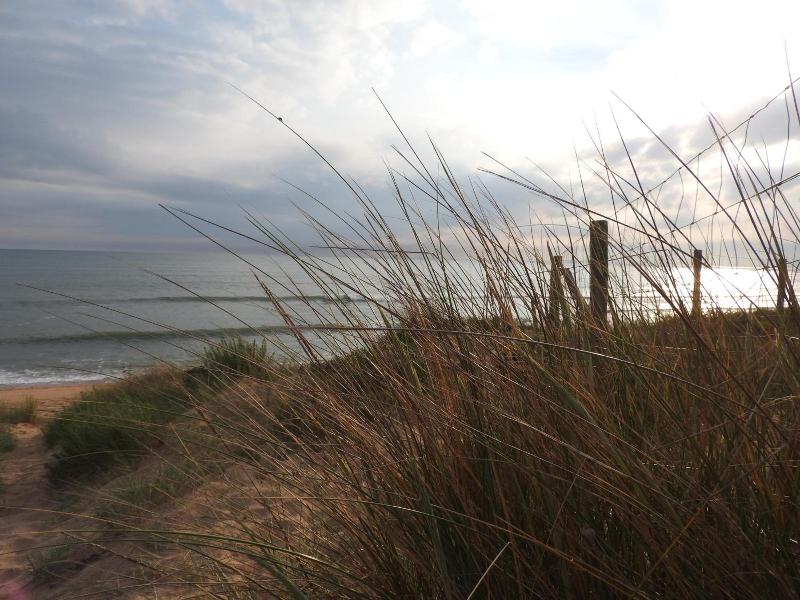 Ile De Lumiere image
