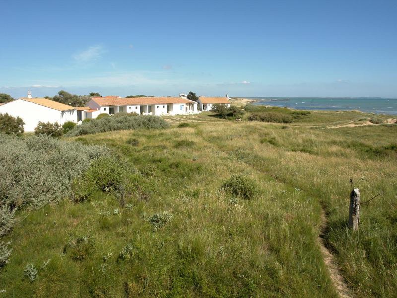 Ile De Lumiere image
