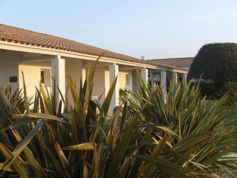Ile De Lumiere image