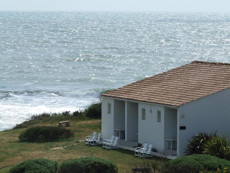 Ile De Lumiere image