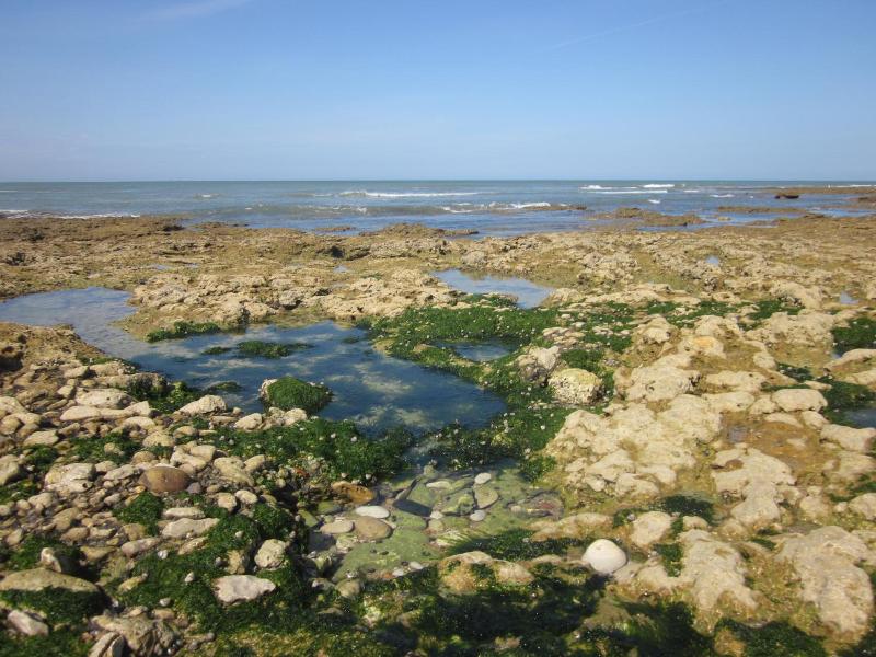 Ile De Lumiere image