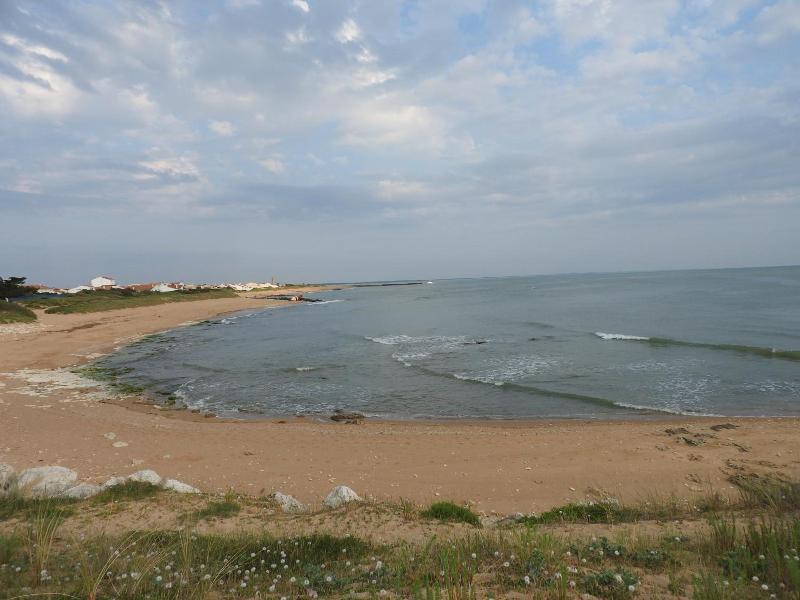 Ile De Lumiere image