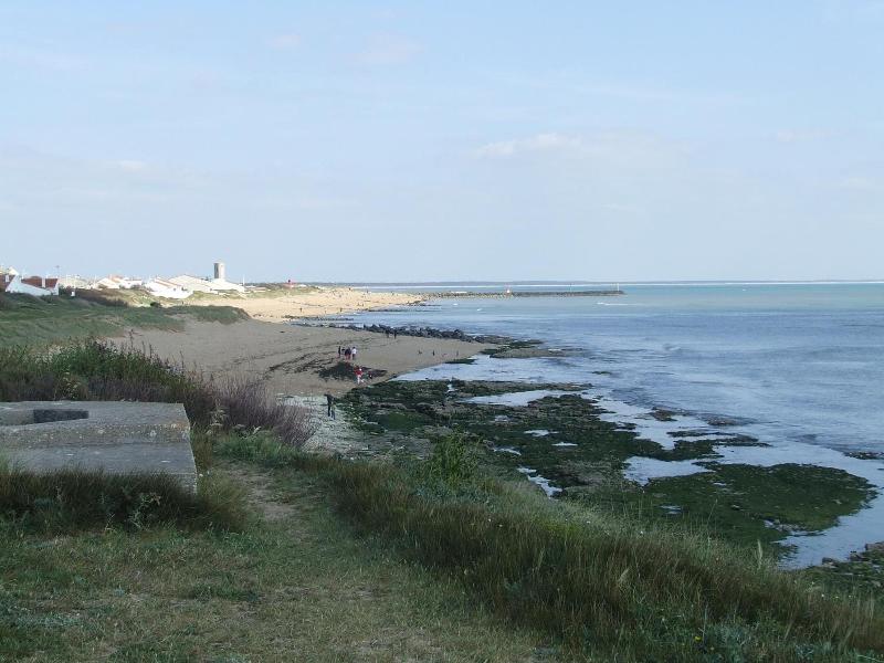 Ile De Lumiere image